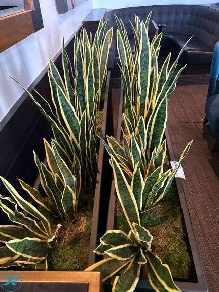 (2) Metal Planters With Faux Snake Plants - Roller Auctions