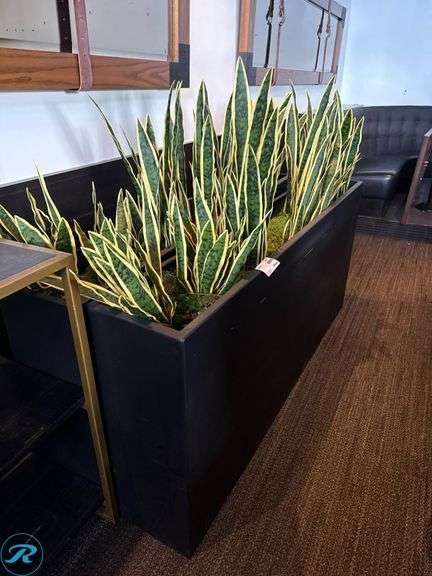 (2) Metal Planters With Faux Snake Plants - Roller Auctions