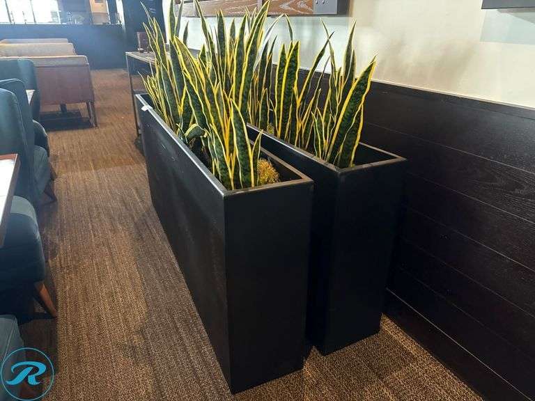 (2) Metal Planters With Faux Snake Plants - Roller Auctions