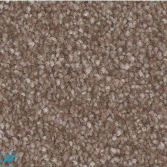 (1) New- STAINMASTER Bliss III Damask Brown 60-oz sq yard Polyester Textured Indoor Carpet 200-Sq-Ft Total - Roller Auctions