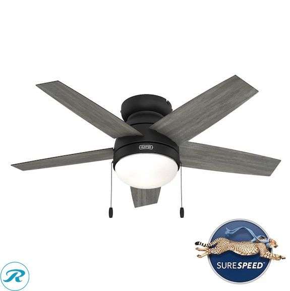 (1) New- Hunter Alexander 44-in Flush Mount Matte Black with Dark Gray Oak Blades Ceiling Fan With Light ( 5 -Blade ) (total of 1 fan) - Roller Auctions