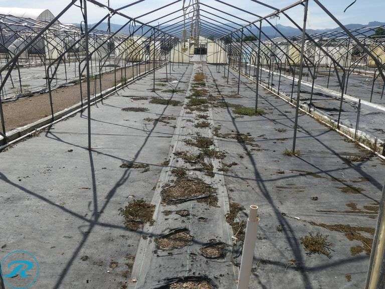(2) Tunnel Hoop House Frames, 95′ x 17′, With Front and Rear Doors, 60″ x 76″ - Roller Auctions