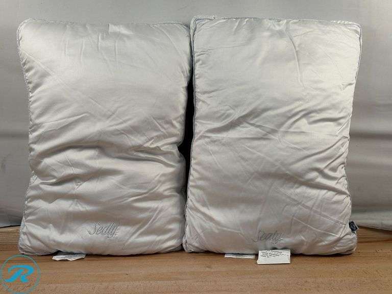 Casual Living: Wedge Pillow- Like New; Sealy Sterling Collection Down-Alternative Pillow, 2-pack- Like New - Roller Auctions