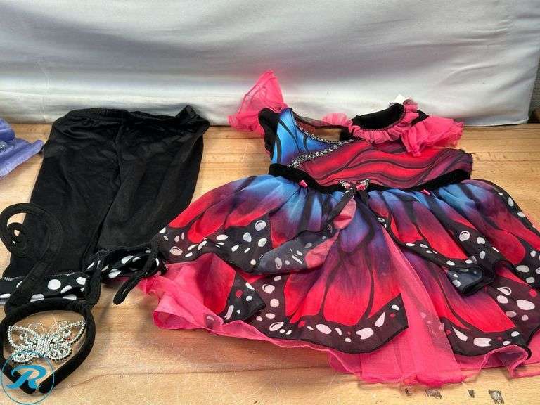 (6) Assorted Boys and Girls Halloween Costumes- Used/ (4) Girls Costumes have rips - Roller Auctions