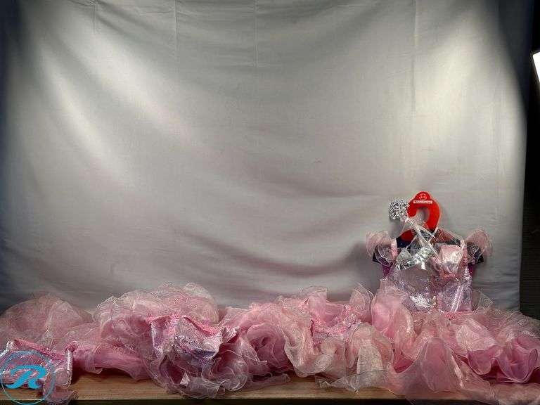 (4) Princess Costume- (3) Age 3-4- Used/ Ripped/ Missing a few Accessories, (1) Age 5-6- Used/ Ripped - Roller Auctions