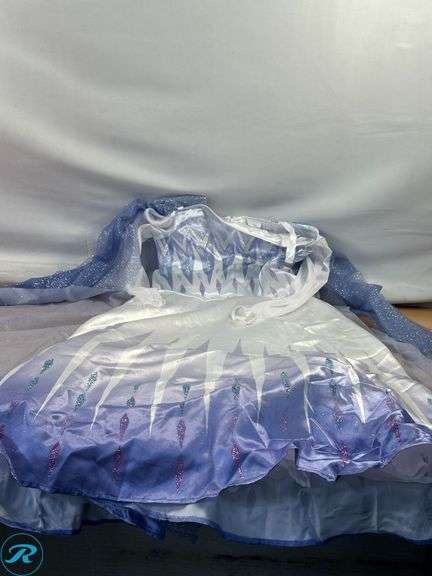 (6) Assorted Boys and Girls Halloween Costumes- Used/ (4) Girls Costumes have rips - Roller Auctions
