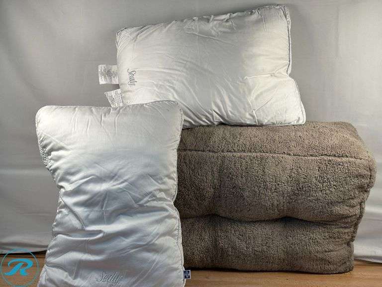 Casual Living: Wedge Pillow- Like New; Sealy Sterling Collection Down-Alternative Pillow, 2-pack- Like New - Roller Auctions