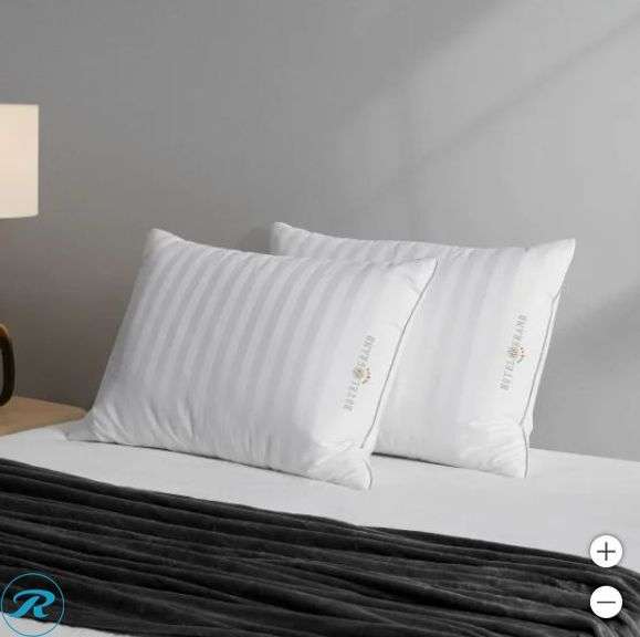 Hotel Grand: Feather & Down Pillow, 2-pack- Like New - Roller Auctions