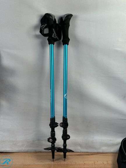 Alptrek: Peak Snowshoes and Trek Poles, 825- Used; (2) Trek Poles- Used - Roller Auctions