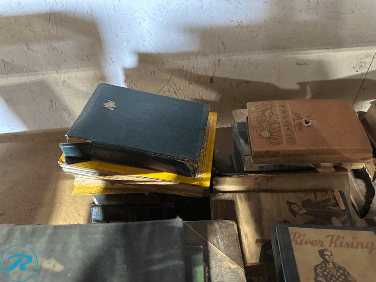 Shelf of Vintage Books - Roller Auctions