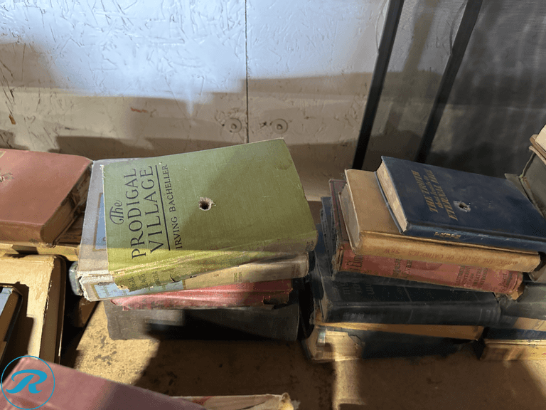 Shelf of Vintage Books - Roller Auctions