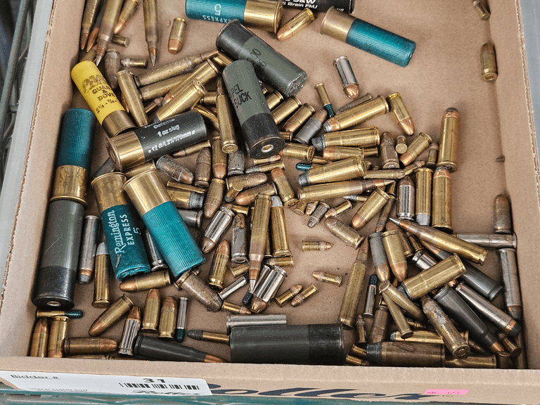 Mixed Ammunition Lot, Magtech .380 Auto, Blazer Brass 40 S&W, Assorted Rounds - Roller Auctions