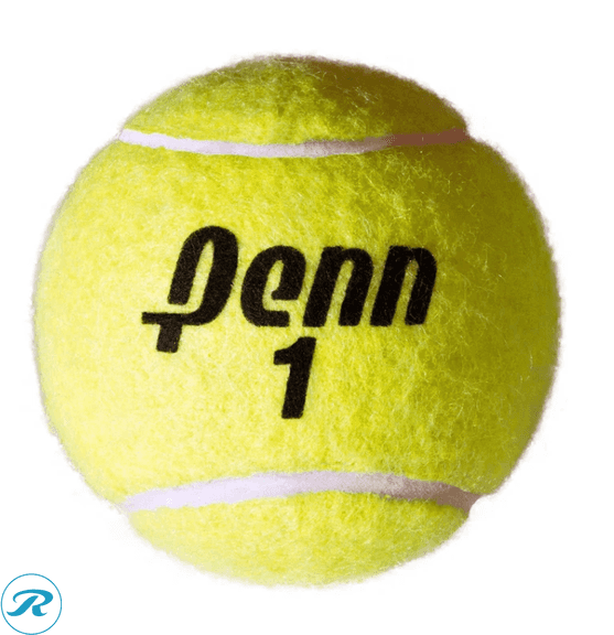 Penn Championship Tennis Balls, 20pk, 60 Balls - New - Roller Auctions
