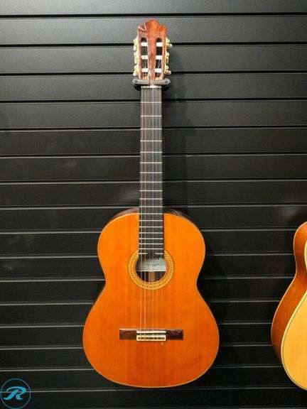 Pavan TP-20 Acoustic Guitar With Case