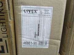 LOT, (9) ASSROTD LIVEX ITEMS - (1) 49806-01, (2) 46881-91, (1) 4929-01 AND (1) 5025-07