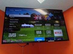 TCL Wall Mounted 55" Television **sold 2X the money**