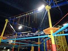 Skyrider and Ropes Obstacle Courses