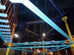 Skyrider and Ropes Obstacle Courses