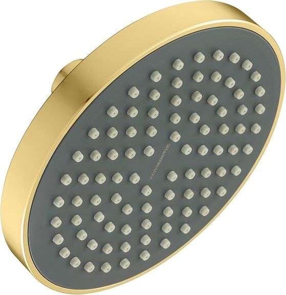 (NEW) (12) ASSORTED CASES, SHOWER MAXX SHOWER HEADS