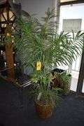 ARTIFICIAL PALM TREE IN BASKET