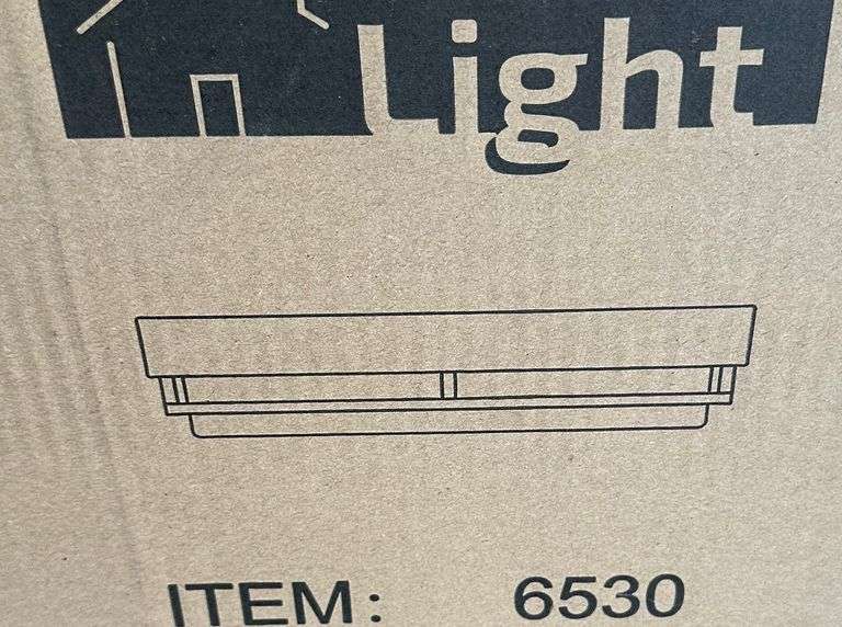 FLUSH MOUNT CEILING LIGHT FIXTURE #6530 (sold 108x the money)