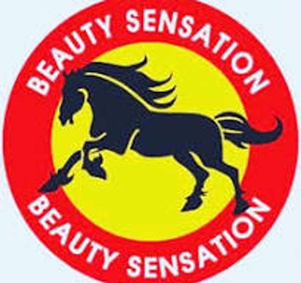 Beauty Sensations, LLC at Gulf Fwy BK #26-80338
