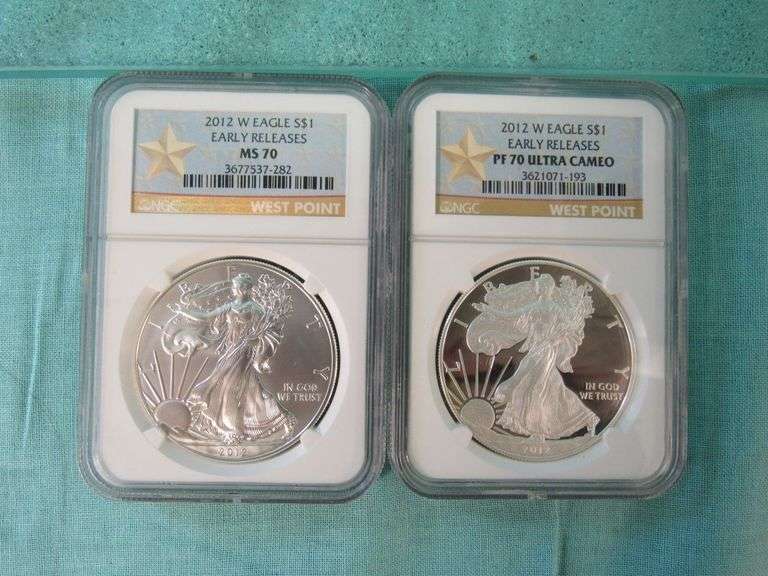 Silver Eagle Slabs (2)