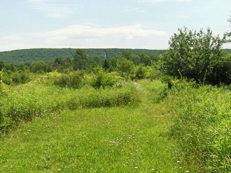 9504 State Route 53, Prattsburgh, NY 14873