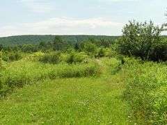 9504 State Route 53, Prattsburgh, NY 14873