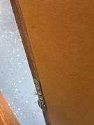 XL Wall Mirror