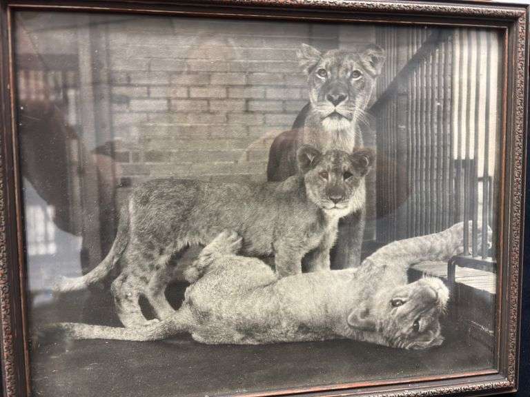 Pair of Framed Wall Decor