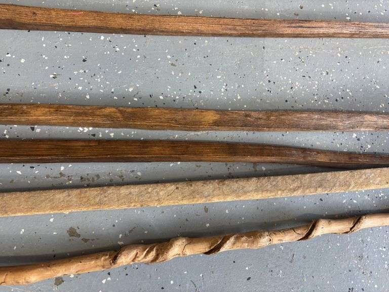 Variety of Walking Sticks