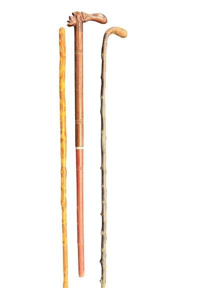 Vintage Canes and Walking Stick