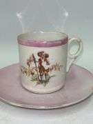 Teacup and Saucer Variety