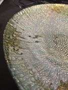 Glass Tray