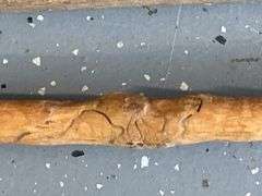 Variety of Walking Sticks