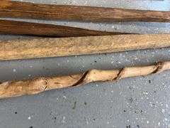 Variety of Walking Sticks