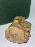 Animal Figurine Variety