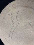 Pottery Plate