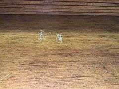 Petite Roll Top Desk