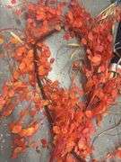 Variety of Fall Decor