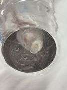 Clear Glass Vase Serpentine Wrapped