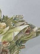 Antonio Borsato "Prancing Girl with Bouquet" Porcelain figurine.