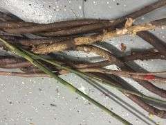 Variety of Fall Decor
