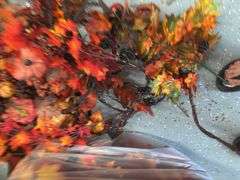 Fall Decor