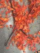 Variety of Fall Decor