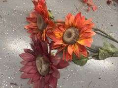 Variety of Fall Decor