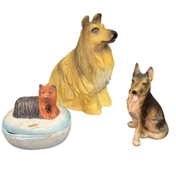 Who Doesn’t Love Dogs