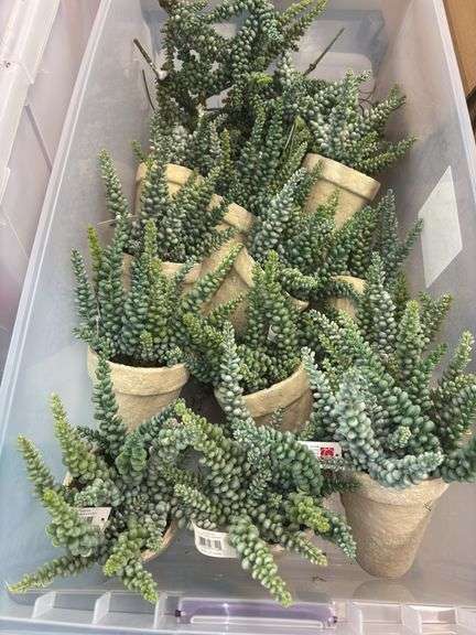 Faux Sedum Botanicals in Vases (12)