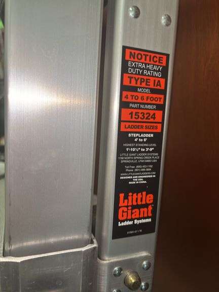 Little Giant Step Ladder